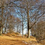 Ultimi passi verso il Monte Sette Confini